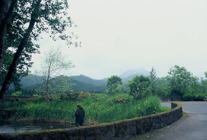Silent Song